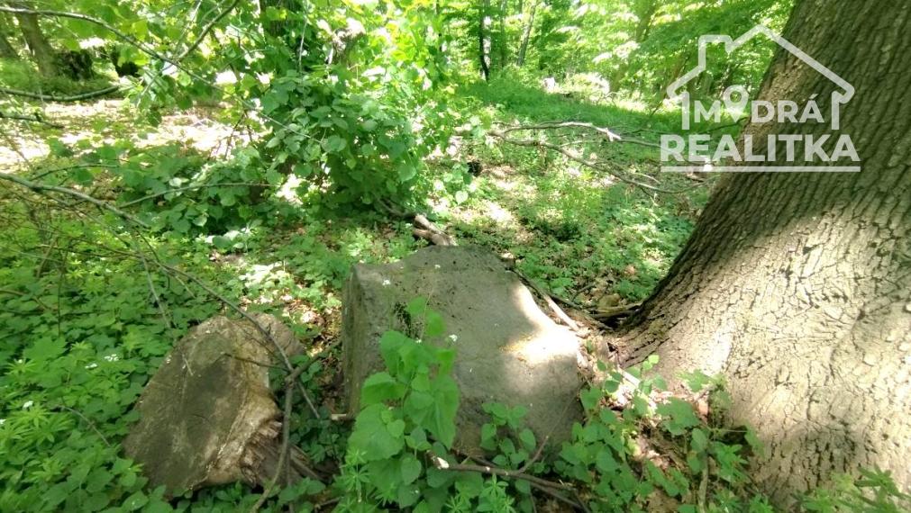 Vinica s výhľadom na Zemplínsku šíravu