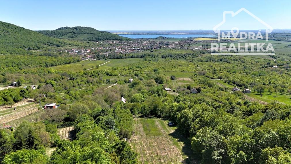 Vinica s výhľadom na Zemplínsku šíravu