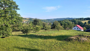 Výnimočná usadlosť s rodinným domom  a štýlovými hospodárskymi stavbami v Košarovciach - fotografia 27