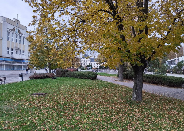 Obchodný priestor v bezprostrednom centre Humenného na prenájom