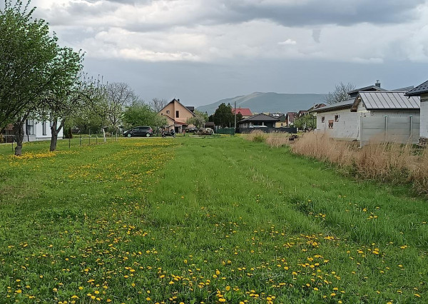 🏡 Predané - LUKRATÍVNY POZEMOK NA PREDAJ – LACKOVCE (okr. Humenné)