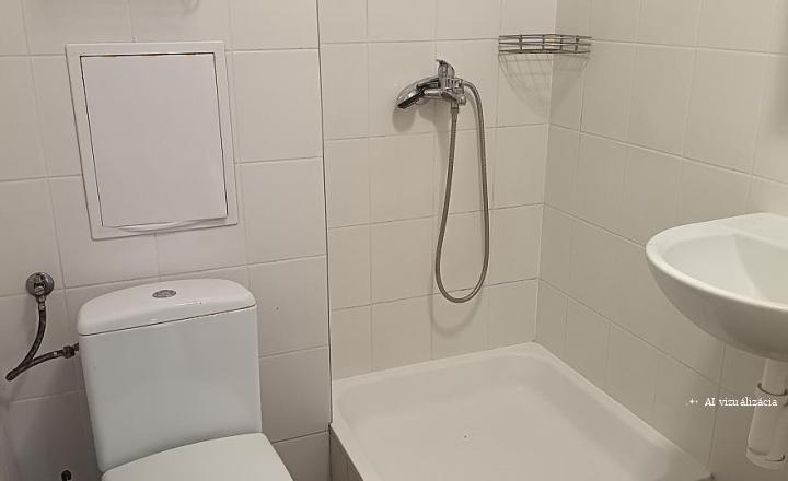 1-izbový byt na prenájom – Sídlisko I - fotografia 3
