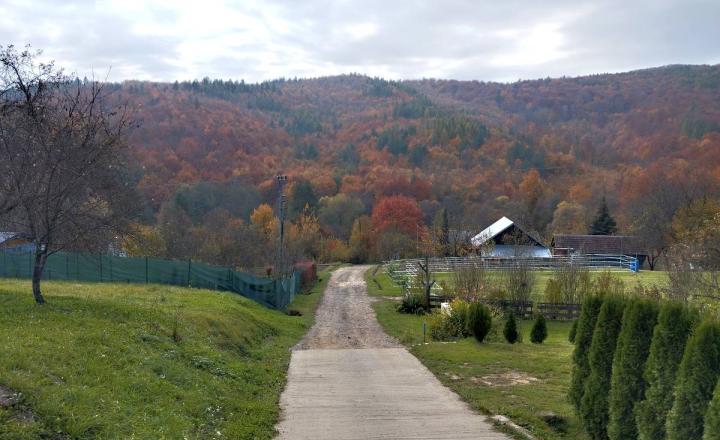 Murovaná záhradná chatka na predaj - fotografia 1