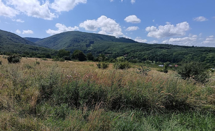 Rekreačný pozemok s panoramatickým výhľadom – Zemplínske Hámre - fotografia 1