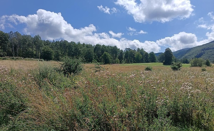 Rekreačný pozemok s panoramatickým výhľadom – Zemplínske Hámre - fotografia 2