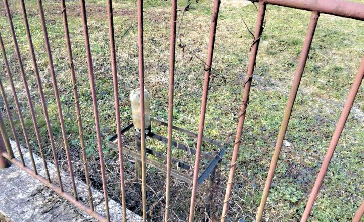 Rodinný dom s 3000 m² pozemkom – Pčoliné - fotografia 5