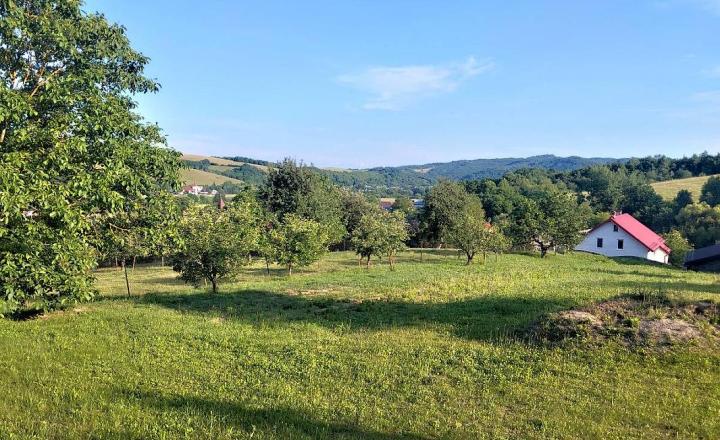 Výnimočná usadlosť s rodinným domom  a štýlovými hospodárskymi stavbami v Košarovciach - fotografia 26